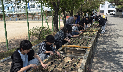 2026&nbsp;친환경&nbsp;텃밭&nbsp;모종&nbsp;심기